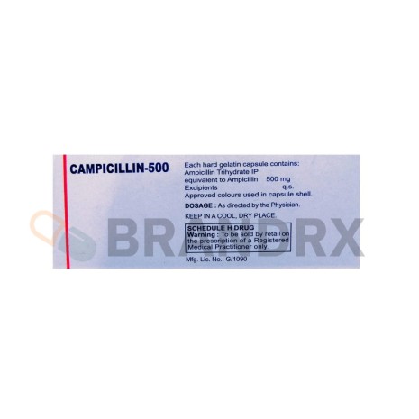 Campicillin 500 mg Cadila Pharmaceuticals Ltd.
