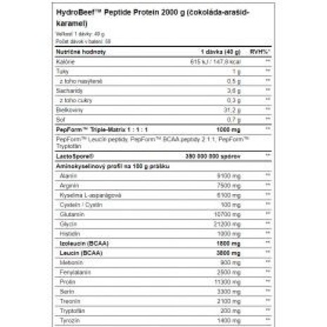 Amix - Hydro Beef 2000 g AMIX