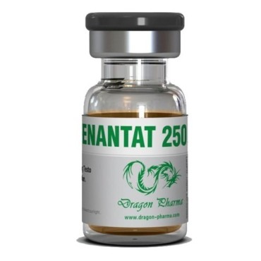 Enanthate 250 Dragon Pharma